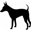 Samolepka pes - Trpasličí pinč
