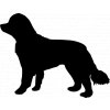 Samolepka pes - Novofundlandský pes