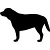Samolepka pes - Labrador