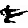 Samolepka - Karate skok