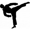 Samolepka - Karate trénink