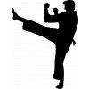 Samolepka - Karate boj
