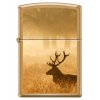 Zippo Jelen Brushed Brass 26934