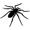 samolepka-hmyz-pavouk-2