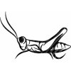 samolepka-hmyz-kobylka