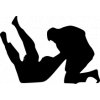 samolepka-judo-vitez-a-porazeny