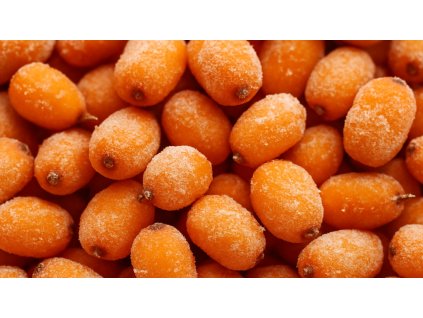 rakytník