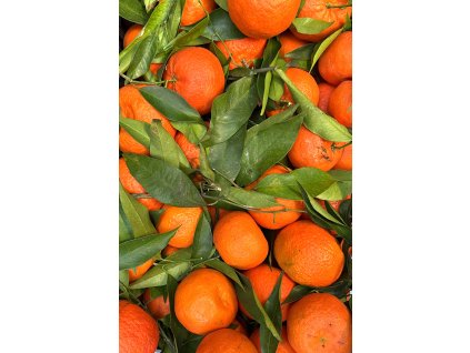 Mandarinky z Recka v GreekMarket