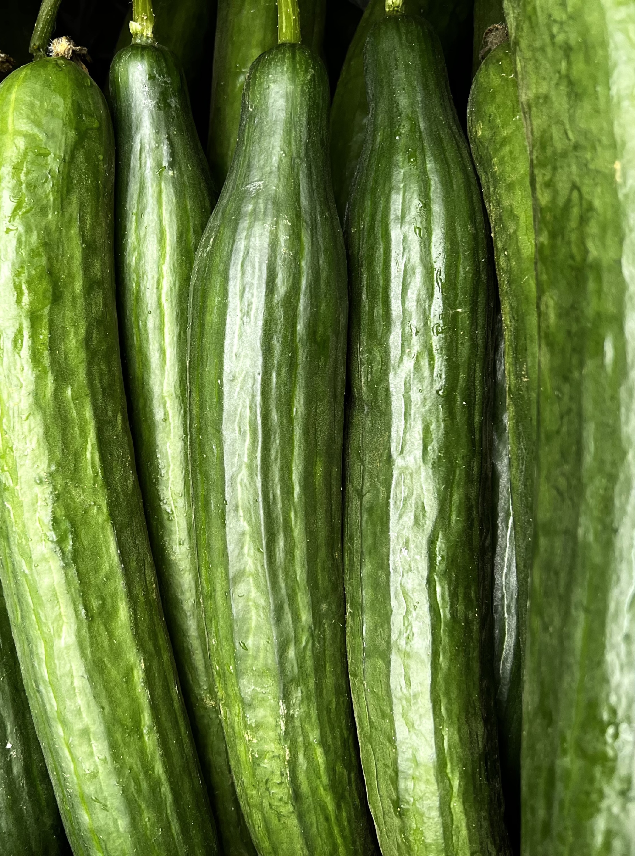 Okurky hadovky 700g z Řecka