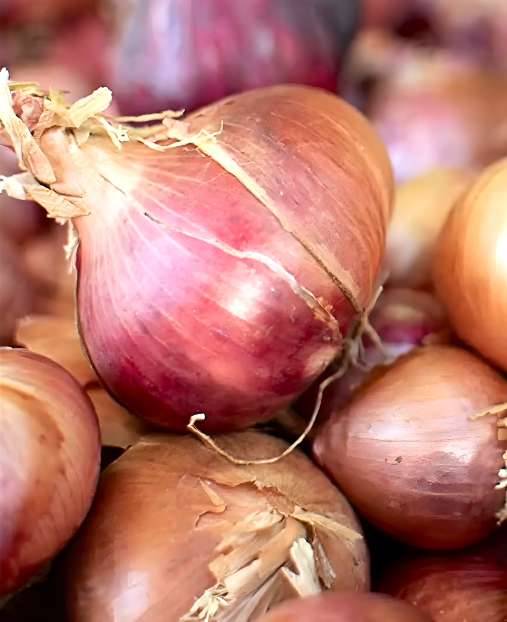 Červená sladká cibule 1kg z Řecka