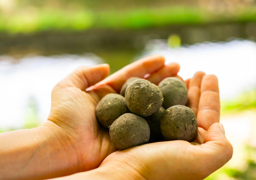 Uválejte seedbombs