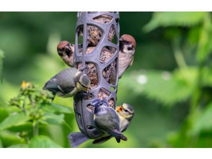 Snímek obrazovky 2026 01 10 v 7.56.27