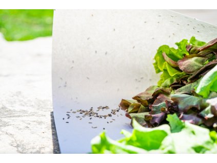 Snímek obrazovky 2026 02 07 v 10.34.01