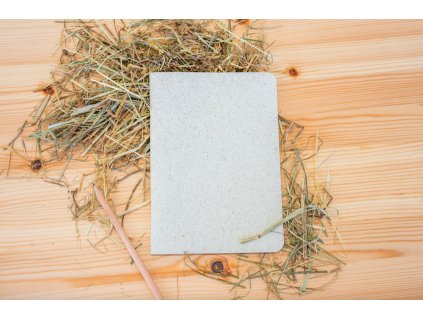 Snímek obrazovky 2026 01 22 v 21.21.25