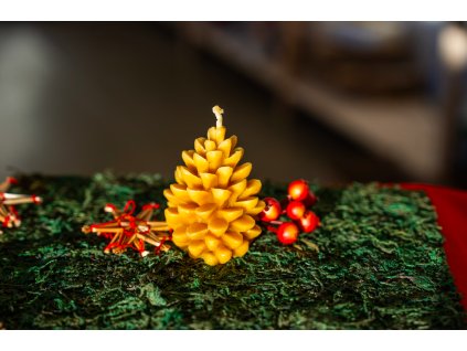 Snímek obrazovky 2026 01 21 v 19.28.54