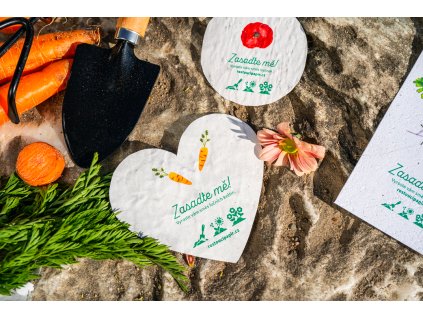 Snímek obrazovky 2026 02 06 v 17.10.26