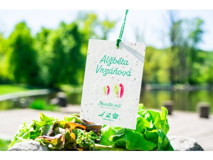 Snímek obrazovky 2026 02 06 v 18.01.09