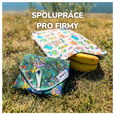 Spolupráce s GREEN SMILE pro firmy