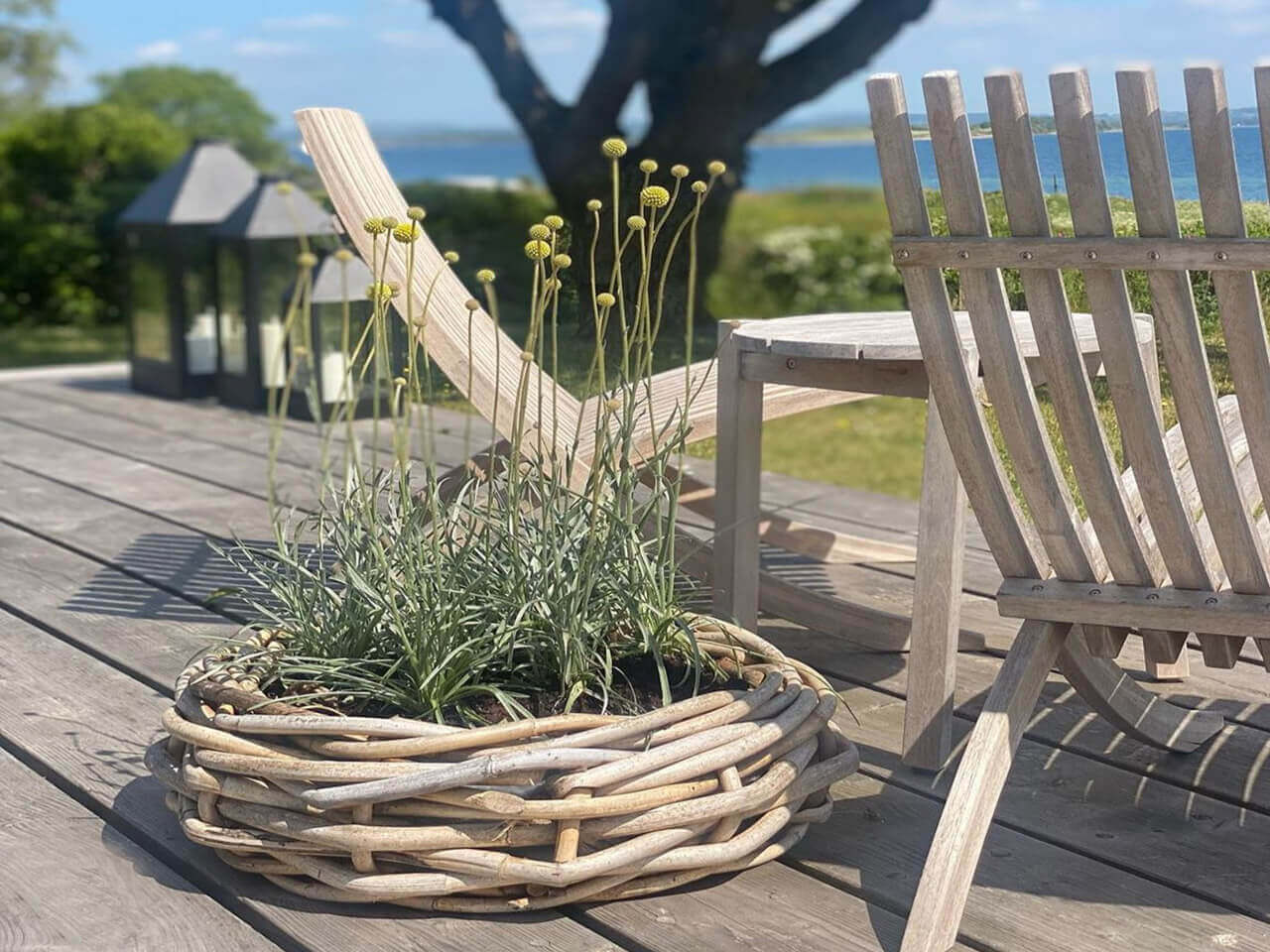 Ratan - co to je a proč si ho zamilujete