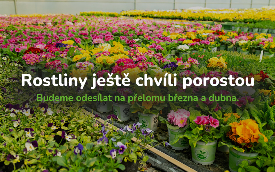 Jarní předprodej 2026