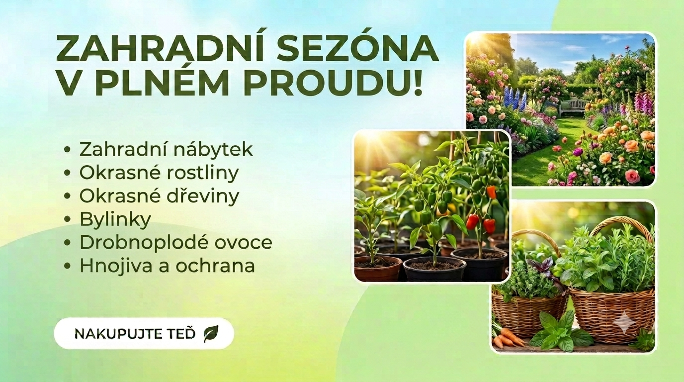 Sezóna je v plném proudu