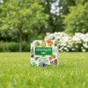 2769 (Product Beautifier)