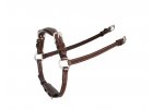 Bridles and accessories