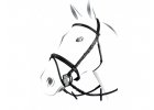 Bridles with flash noseband