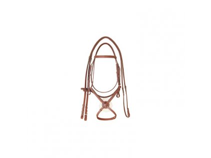 Supreme mexican bridle