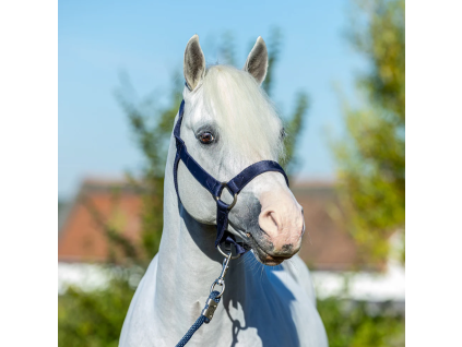 strong headcollar navy 2