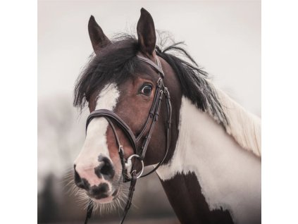 37 1805eb17 0df2 4d44 856e 36a4e980a86f