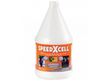 speedxcell 1