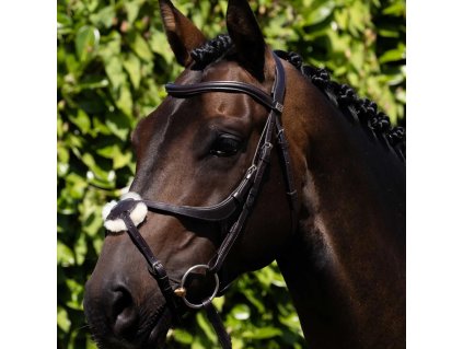 Premier Equine Glorioso Grackle Bridle