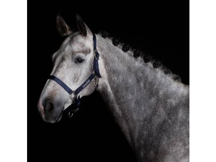 Nylon headcollar with simple buckle Greenfield