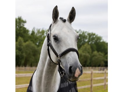 leather headcollar 1