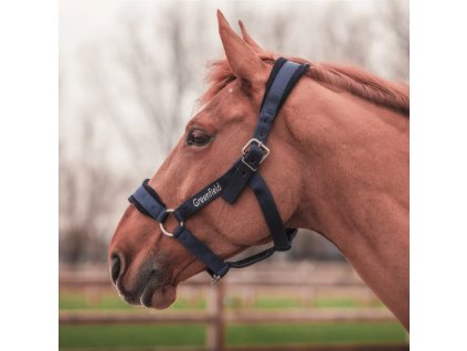 headcollar brown2
