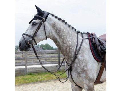 37 0877f16a baaa 42d2 994a 0ce1dfb1ca99