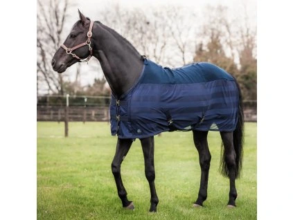 11 310331dc 5f65 4cf7 85e6 20358071706b