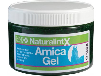 Arnica gel with MSM 400 g