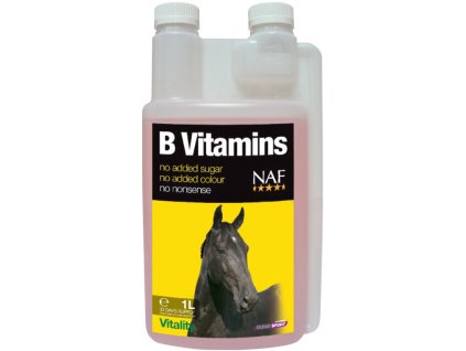 B vitamins pre sústredenosť a celkovú vitalitu koní 1 liter