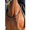 Greenfield elastic breastplate