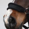 sterkfleece2