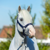 strong headcollar navy 2