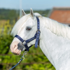 strong headcollar navy 3