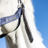 strong head collar navy 1