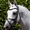 Premier Equine Glorioso Grackle Bridle