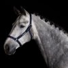 headcollar navy horse
