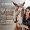 1088 72267b13 sh phbalanced equineasset