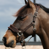 halster fleece bruin 1
