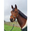 Marley Multi headcollar Greenfield